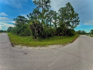 567 Cottonwood Ave S, Lehigh Acres, FL 33974