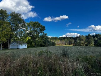 VL Creek Rd, Lewiston, NY 14092