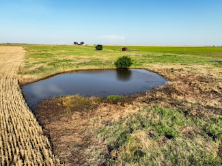 1250 County Road 4430, Knox City, TX 79529