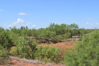 0 County Road 234, Westbrook, TX 79565