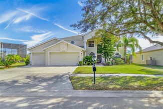 18119 Diamond Cove Ct, Tampa, FL 33647