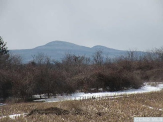 Hudson, NY 12534