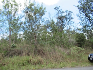 0 Tiki Ln Unit 724162, Ocean View, HI 96737