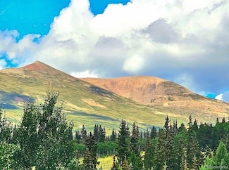 295 Silver Plume Rd, Fairplay, CO 80440