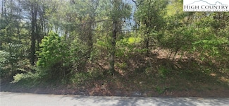 547 White Laurel Ln, Boone, NC 28607