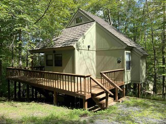 103 Grizzly Way, Davis, WV 26260