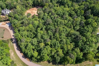 148 Trillium Dr Unit 19, Birmingham, AL 35210