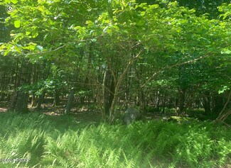 138 Columbine Ln, Dingman Township, PA 18337