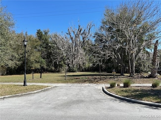 116 Dr Martin Luther King jr Ave, Inverness, FL 34450
