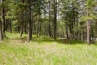50 Skyview Dr, Rexford, MT 59930