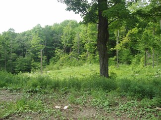 0 Lower Woods and Water Rd Unit Lot 16, Winhall, VT 05340