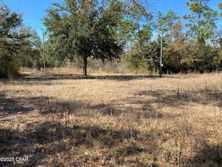 3521 Long Rd, St. Andrews Bay, FL 32409