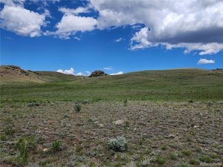 0 Black Kettle Rd Unit 1611 REC9393736, Hartsel, CO 80449