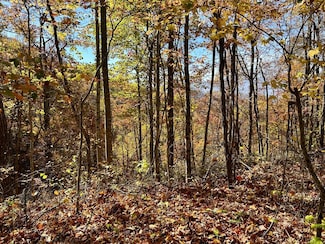 Lot 30 Owl View Rd, Bryson City, NC 28713