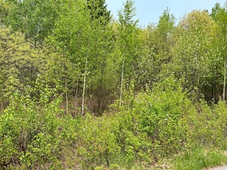 1608 Pine View Ln, Tomahawk, WI 54487