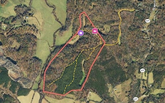 0 S County Line Rd Unit 21514828, Patrick Springs, VA 24082