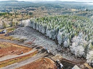 0 Dax Rd Lot H Unit NWM2324095, Castle Rock, WA 98611