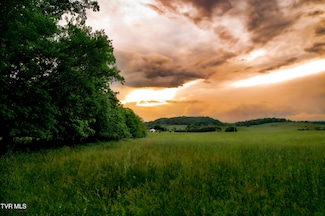 2200 Rd, Limestone, TN 37681