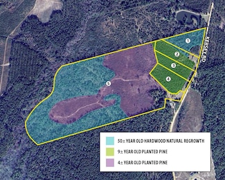 223 Kersey Rd, Adrian, GA 31002