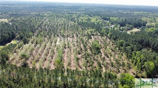 0 Rahn Station Rd Unit 16774644, Rincon, GA 31326