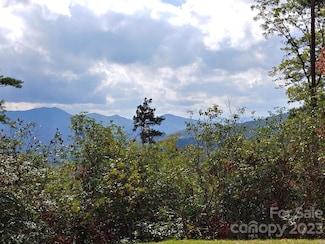 Lot 42 the Knoll None, Bryson City, NC 28713