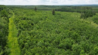 80 Acres Wisconsin 40, Radisson, WI 54867