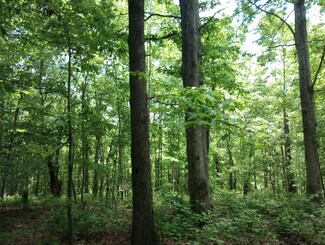8690 Poplar Creek Rd, Nashville, TN 37221