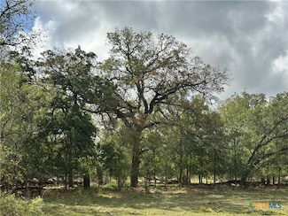650 Coastal Ln, Luling, TX 78648