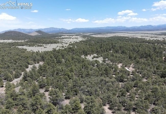1713 7th Trail, Texas Creek, CO 81223