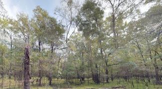 Road 2711, Cleveland, TX 77327