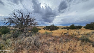 5184&8381 S Starlit Trl & W Shingle Oak, Williams, AZ 86046