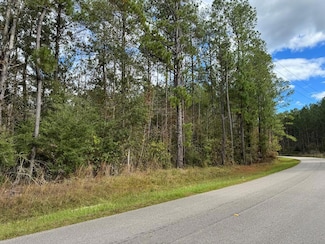 0 Dupont Harts Chapel Rd Unit 182550, Poplarville, MS 39470