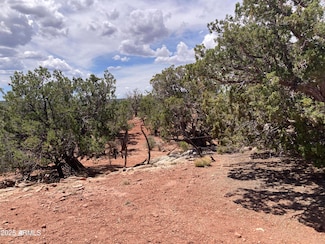 9979 Texas Ln Unit 16, White Mountain Lakes Estates, AZ 85912