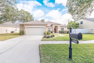 12908 Cattail Shore Ln, Riverview, FL 33579