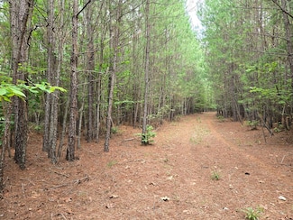 695 Mountain Cut Rd, Appomattox, VA 24522