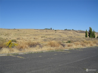 0 Lot C N Juniper St, Soap Lake, WA 98851