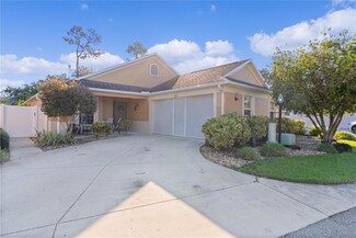 3930 E Torch Lake Dr, The Villages, FL 32163