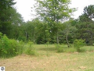113 Navaho Trail, Buckley, MI 49620