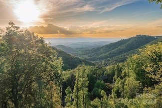 20 Timberwolf Ct, Asheville, NC 28804