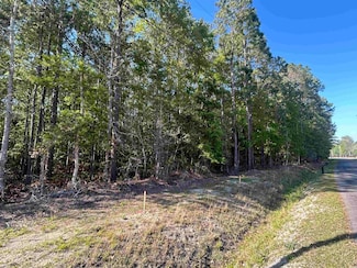 TBD Buck Dr, Georgetown, SC 29440