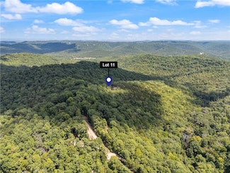 0 Cr-206 Unit 1319179, Eureka Springs, AR 72632