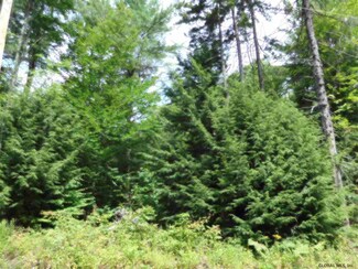 0 S Line Rd Unit 201615879, Middle Grove, NY 12850