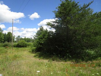 4882 Lund Rd SW, Fife Lake, MI 49633