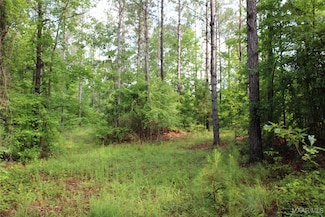 0 Providence Rd Unit 577214, Rockford, AL 35136