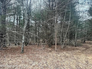 112 Balson Rd, Jackson Township, PA 18360