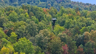 4445-2 Pine Grove Rd, Means, KY 40346