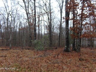 4000 Saponac Dr, Crossville, TN 38572