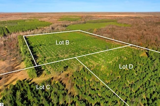 15 Acres C Wallin Rd, Thompsonville, MI 49683