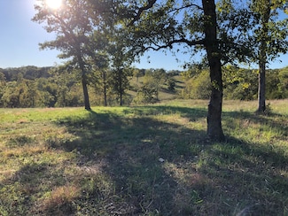 7776 State Highway 39, Aurora, MO 65605