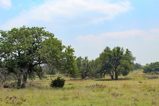180 Nantan Ln Unit 63, Harper, TX 78631
